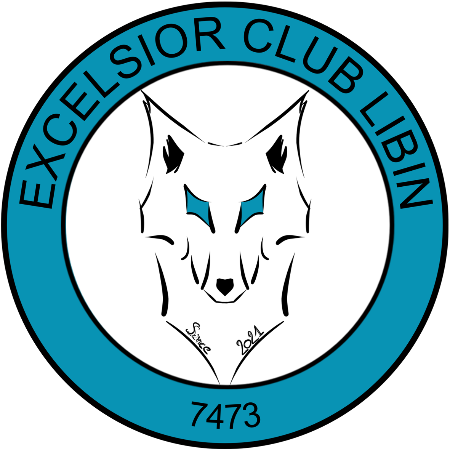 Excelsior Club Libin
